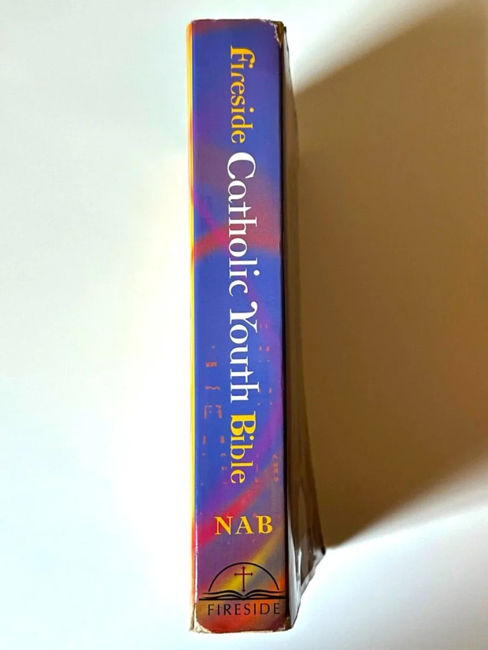 Catholic Youth Bible NAB New American Bible Fireside Softcover 2004